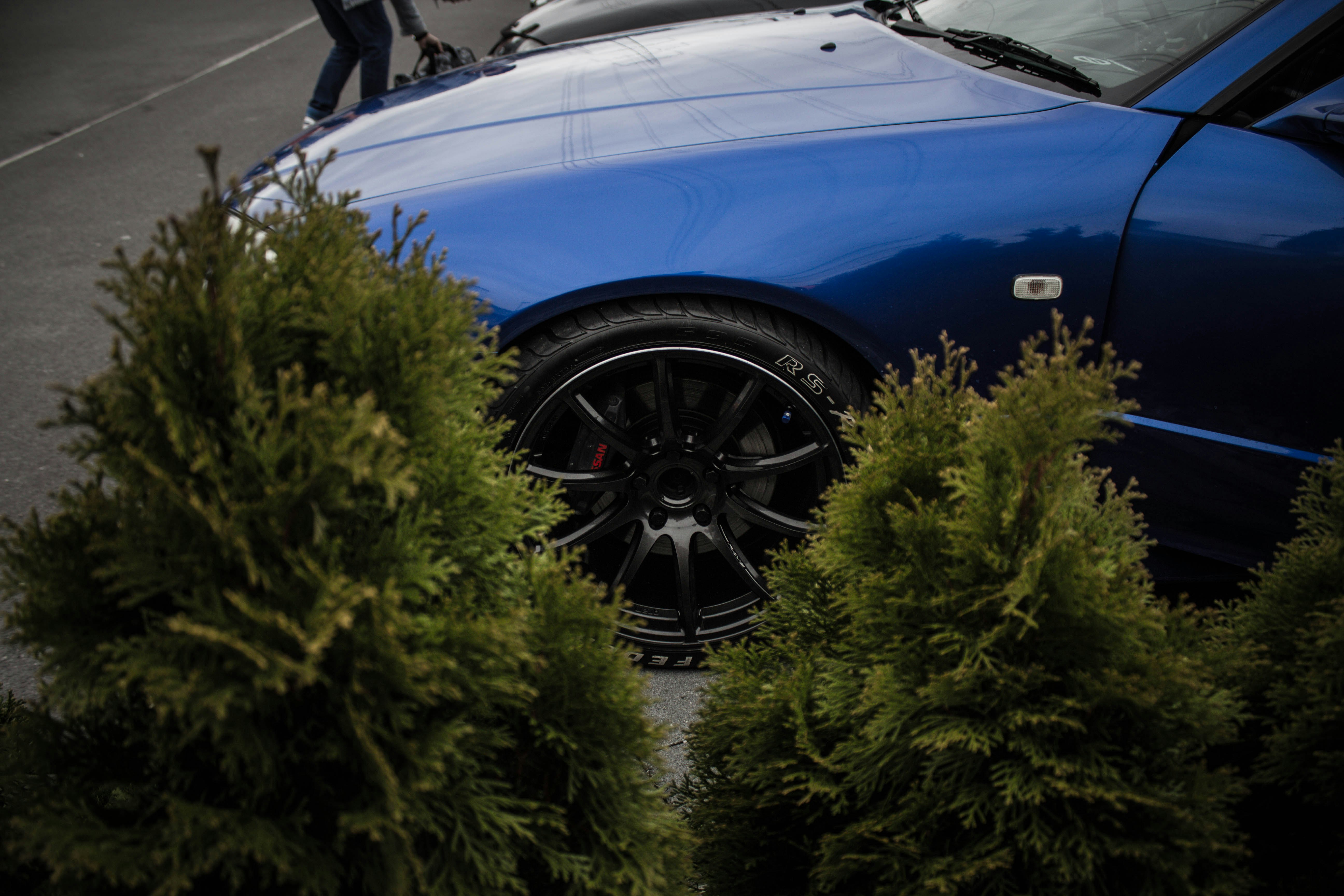 blue vehicle beside green plants